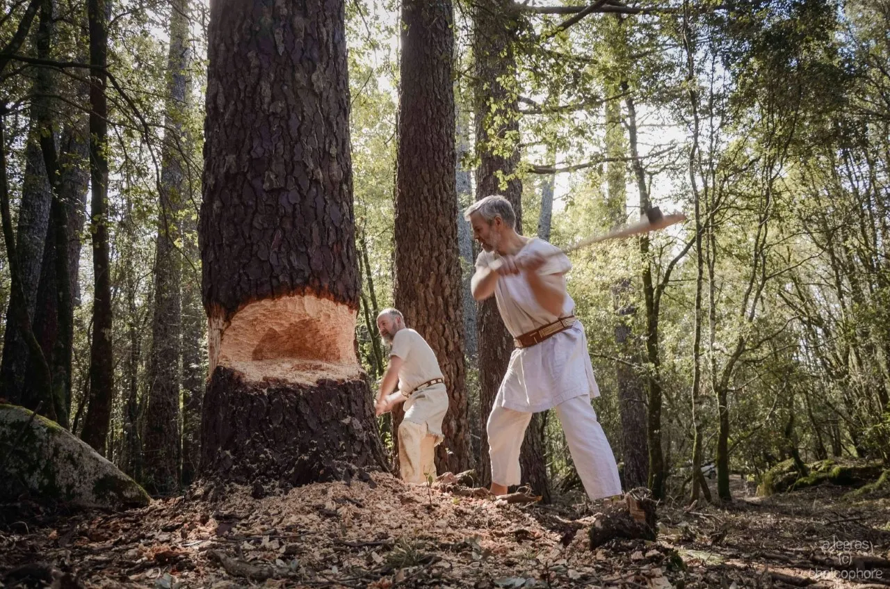 Philippe Guillonnet coupant un arbre avec l'outil hâche préhistorique